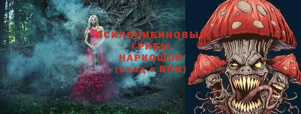 ГАЛЛЮЦИНОГЕННЫЕ ГРИБЫ Балахна