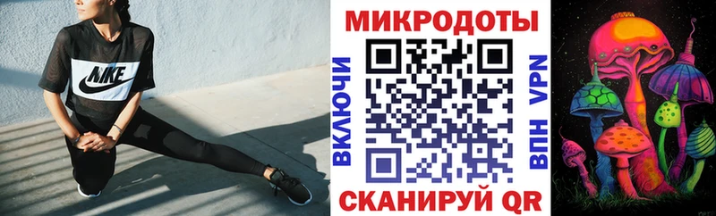 Псилоцибиновые грибы прущие грибы  Заполярный 